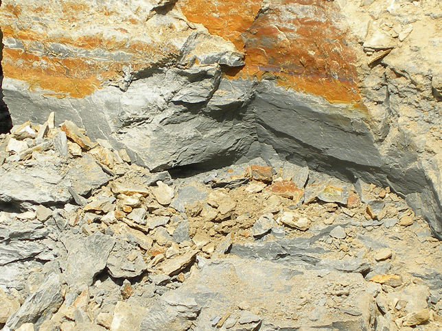 膨潤(rùn)土 蒙脫石 膨潤(rùn)土 蒙脫石.jpg